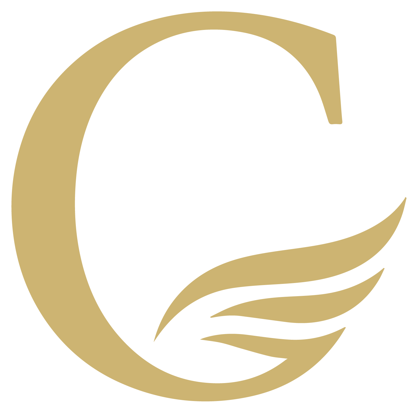 Ceywing Tours